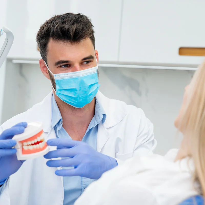 Dentist holding dental jaw model while explaining treatment options to patient