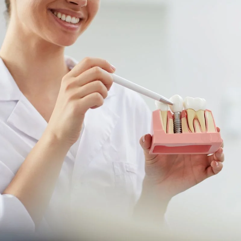 Dentist pointing to a cross-section dental implant model showing titanium post and crown